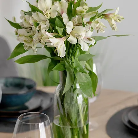 Czilu Czilu D&d شقة