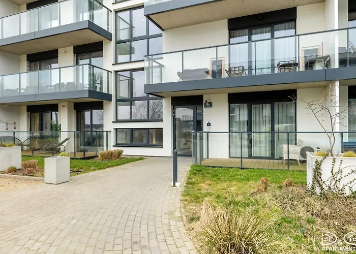 Czilu Czilu D&d Daire *