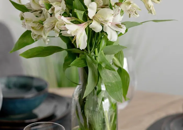 Czilu Czilu D&d Daire