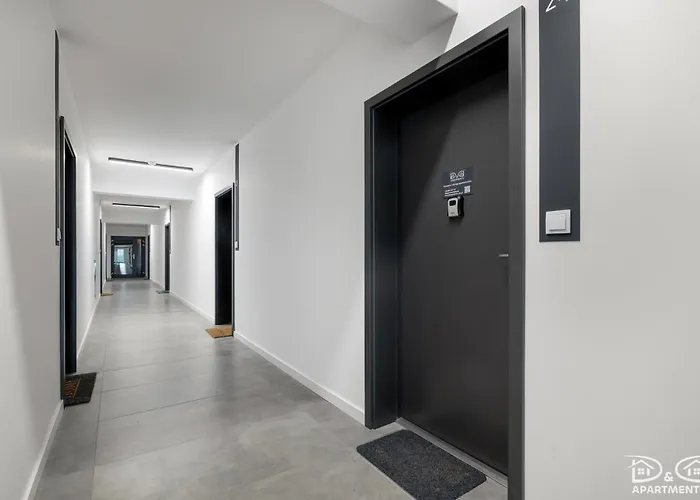 Daire Czilu Czilu D&d Dziwnów