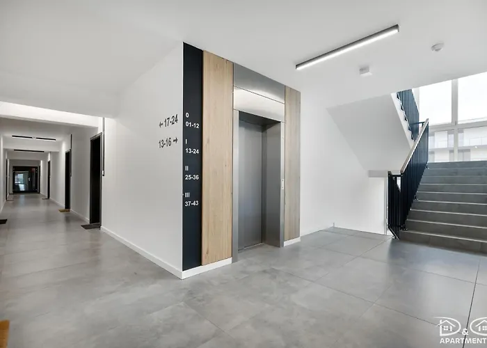 Daire Czilu Czilu D&d Dziwnów