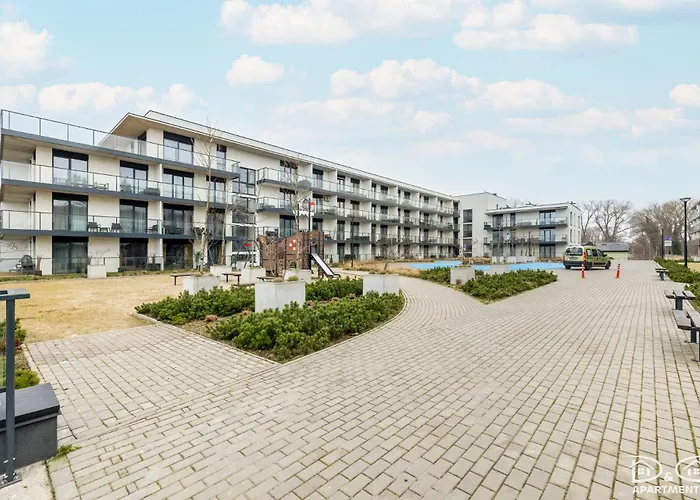 Czilu Czilu D&d Daire