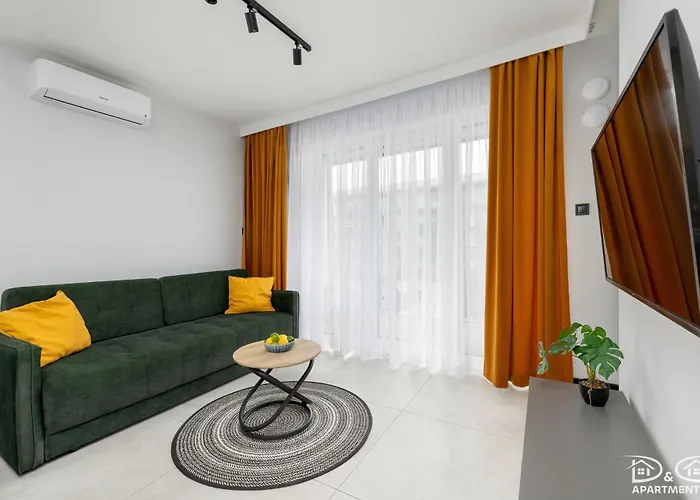 Czilu Czilu D&d Daire