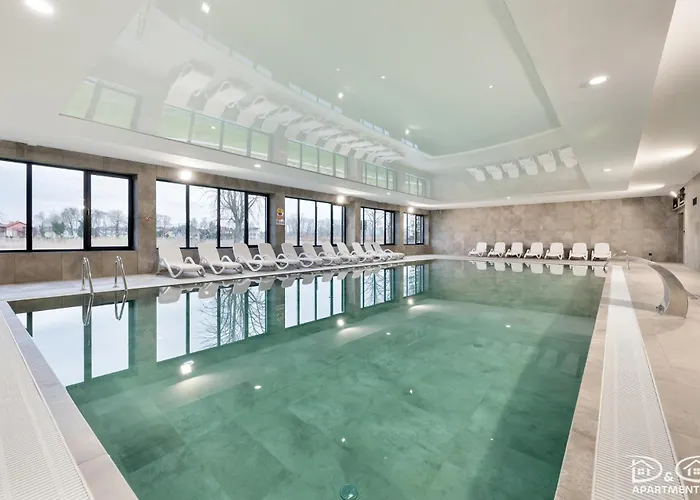 Czilu Czilu D&d Daire *