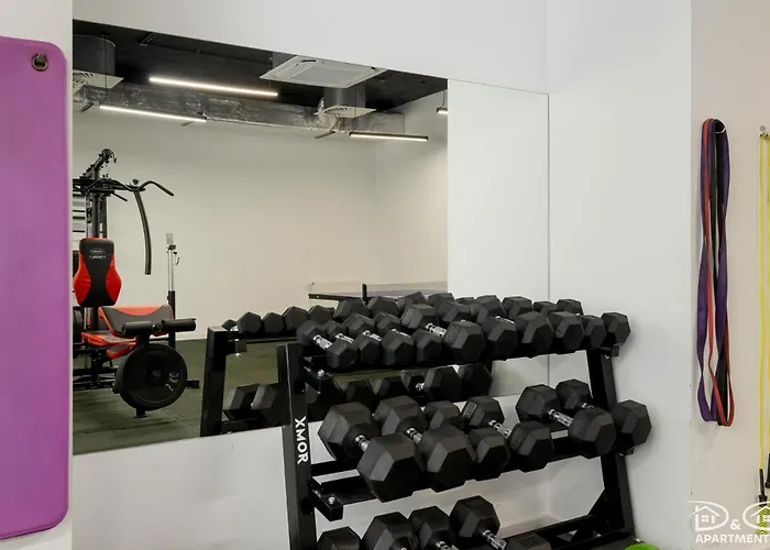 Czilu Czilu D&d Daire *