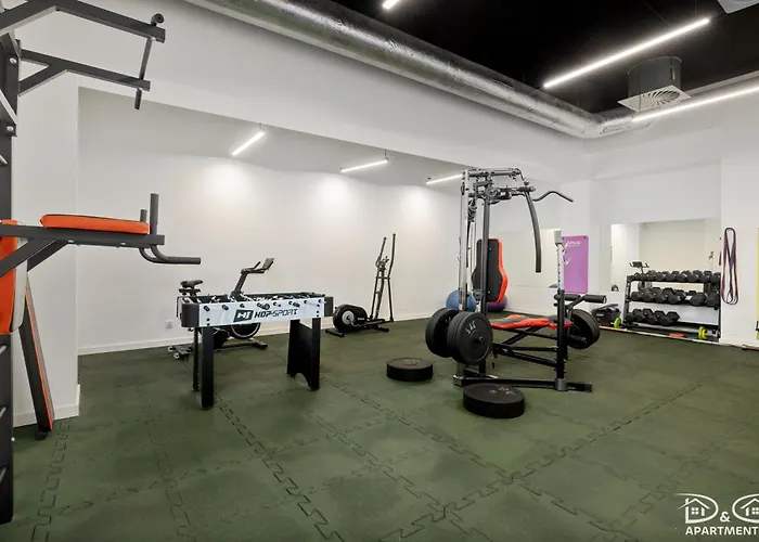 Czilu Czilu D&d Daire