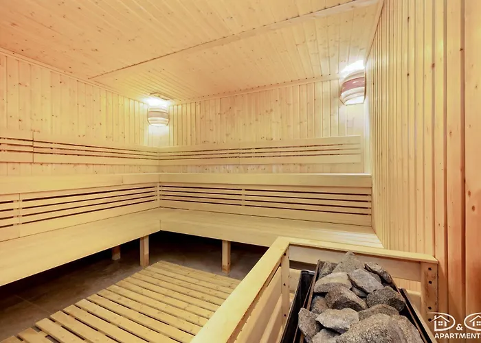 Czilu Czilu D&d Daire *